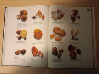 Gran enciclopedia de la cocina. 5 tomos