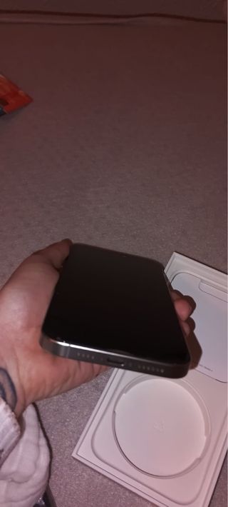 iPhone 15 Pro Max 256GB Gris/Plata