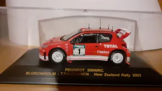 Peugeot 206 WRC escala 1/43