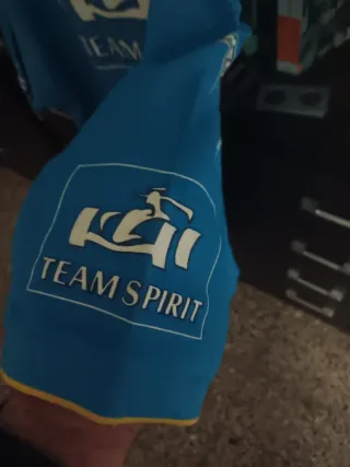 Camiseta Oficial Renault Fernando Alonso Talla XL