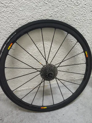 Ruedas Mavic Ksyrium SLR.