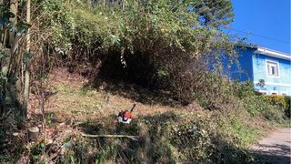 Servicios de limpieza y desbroce