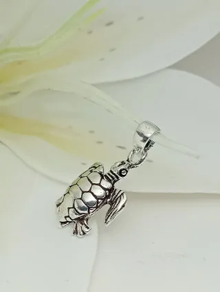 Bello Colgante Tortuga Galápagos Plata De Ley 925