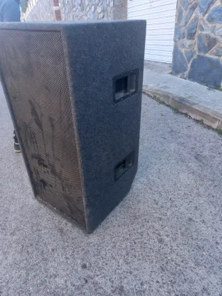 Altavoces profesionales negros pareja de subgrabes