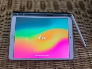 Apple iPad Pro 10.5 256GB + Apple Pencil 1a gen