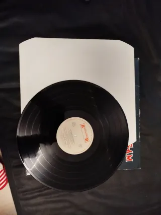 LP Flotsam and Jetsam - No Place for Disgrace