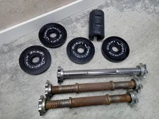 Manubri e dischi palestra