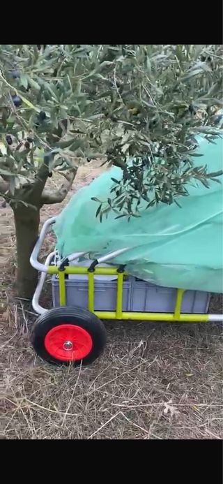 Carretilla paraguas para recoger aceitunas de 5,20