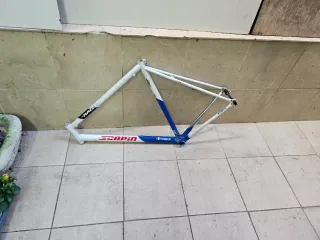 Cuadro Scapin Columbus Genius Talla 55