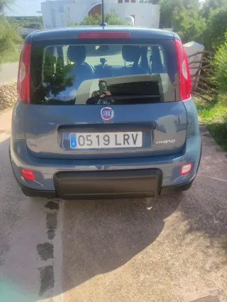 FIAT Panda 2021