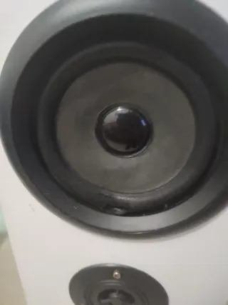 Altavoz Torre Blanco y Negro