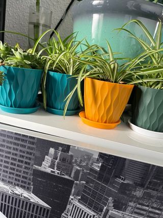 Macetas decoradas de plástico