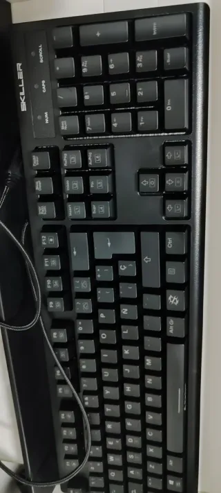 Teclado Mecánico Sharkoon SKILLER SGK30 RGB