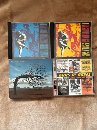 Lote 13 cds rock internacional indivisible