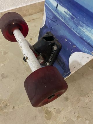 Skate Roxy con diseño de playa y puente