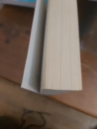 Diccionario Espanol-Ingles/ Ingles-Espanol (Spa...