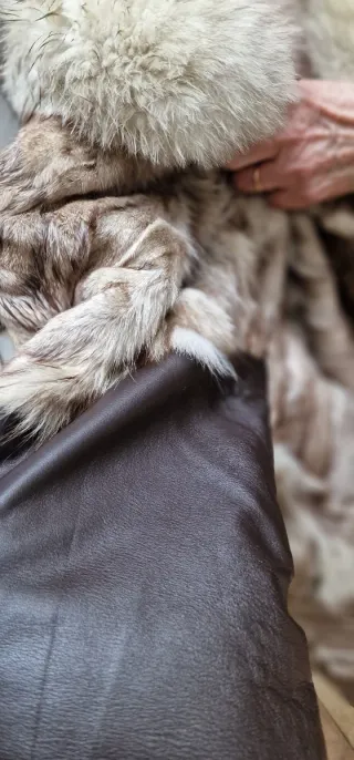 Abrigo Piel Natural Cuello Pelo