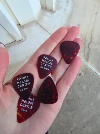 Guitarra Sandré con funda.
