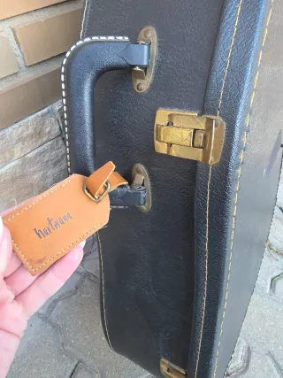 Guitarra Sandré con funda.