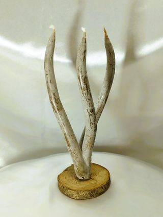 Candela alga a 3 stoppini base legno - idea regalo