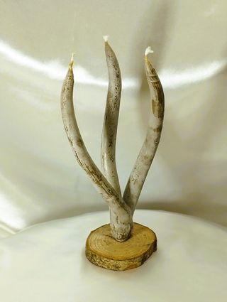 Candela alga a 3 stoppini base legno - idea regalo