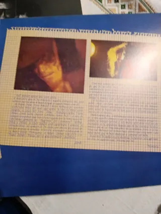 Vinilo Iceberg Sentiments