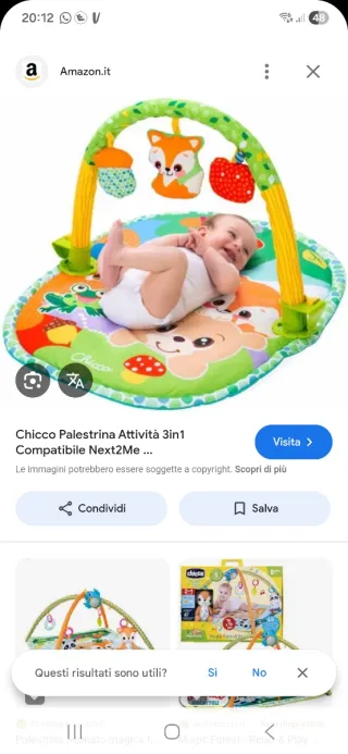 Palestrina Chicco Giungla