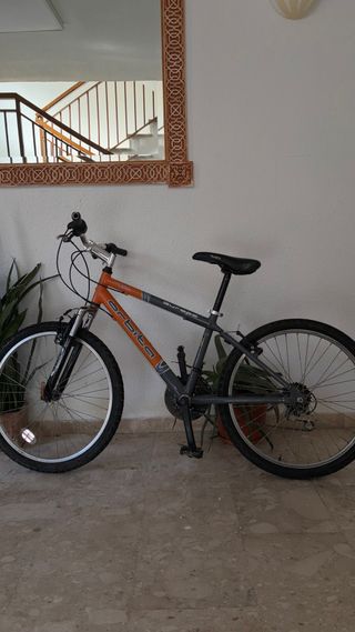 Bicicleta cuidada al detalle – Precio negocia