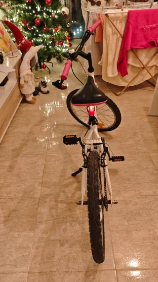 Bicicleta niña niño 20 pulgadas buen estado