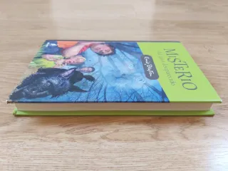 Misterio del Gato Desaparecido – Enid Blyton