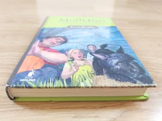 Misterio del Gato Desaparecido – Enid Blyton