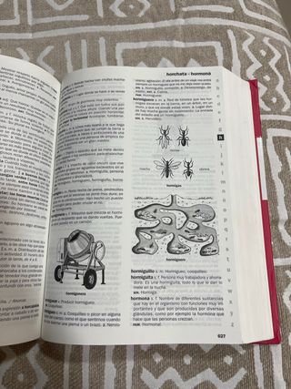 NUEVO DICCIONARIO ESCOLAR DE LA LENGUA ESPAÑOLA...