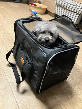 Transportín para mascotas gris y negro