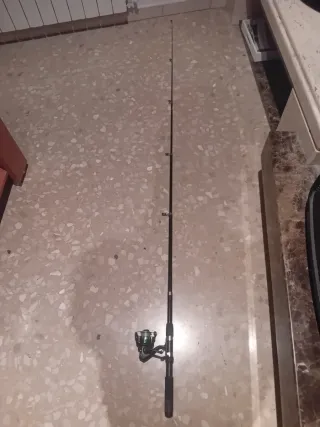 Caña de pescar con carrete