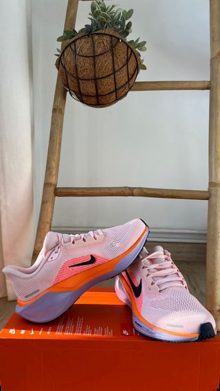 Zapatillas Nike Pegasus Running
