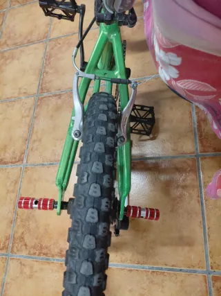 Bicicleta Infantil Verde Terrana