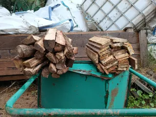 Leña de encina y tablillas de palet