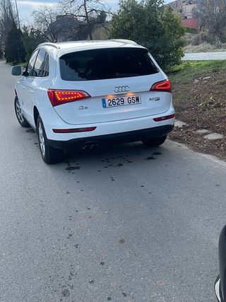 Audi Q5 2010