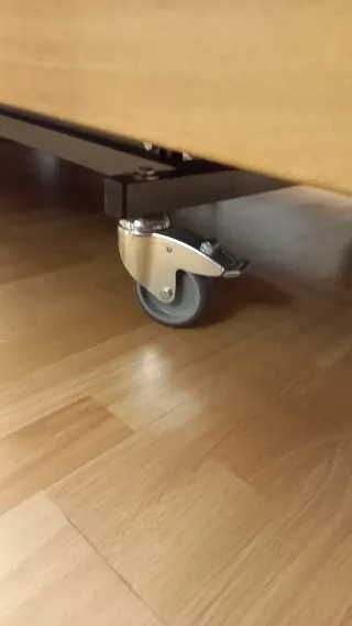 Cama articulada con colchón sanitario