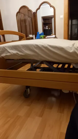 Cama articulada con colchón sanitario