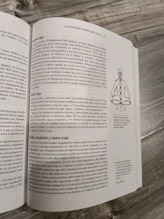 El corazon del Yoga: Desarrollando una practica...
