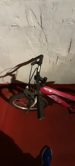 Bicicleta niña 20 pulgadas