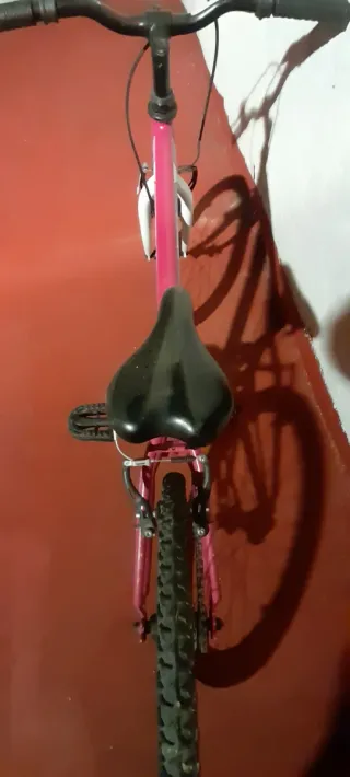 Bicicleta niña 20 pulgadas