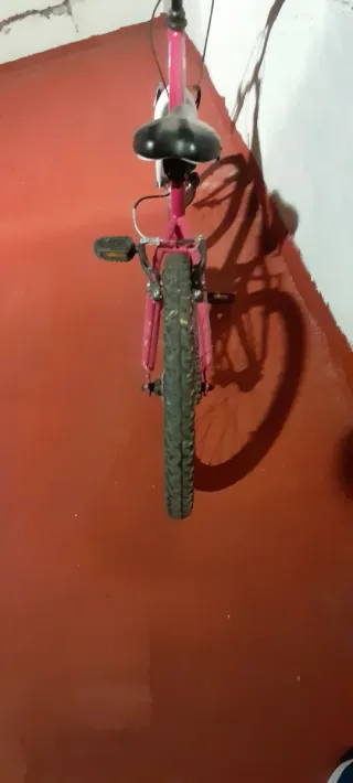 Bicicleta niña 20 pulgadas