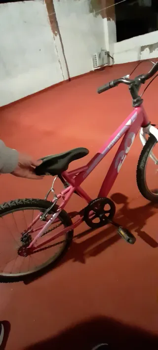 Bicicleta niña 20 pulgadas
