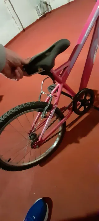 Bicicleta niña 20 pulgadas