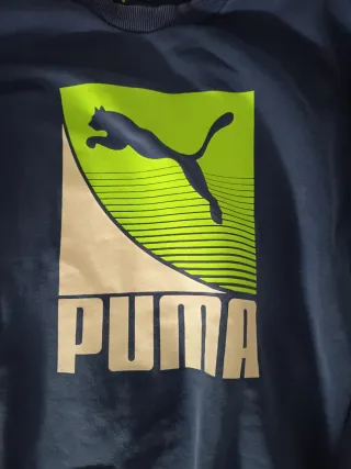 Sudadera Puma Azul y Verde