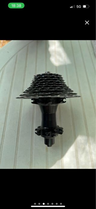 Campagnolo Piñón Bicicleta