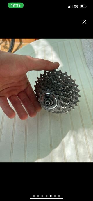 Campagnolo Piñón Bicicleta