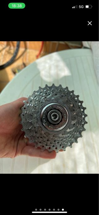 Campagnolo Piñón Bicicleta